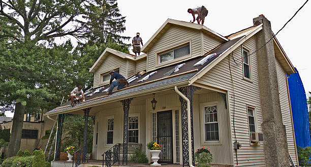 Best Flat Roof Repair Services  in St Francis, MN